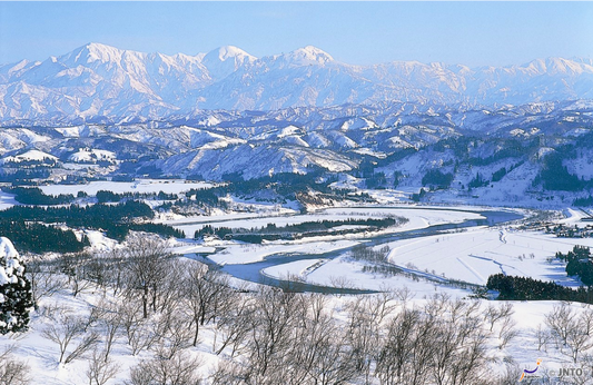 Immersing in Niigata, The Snow Country